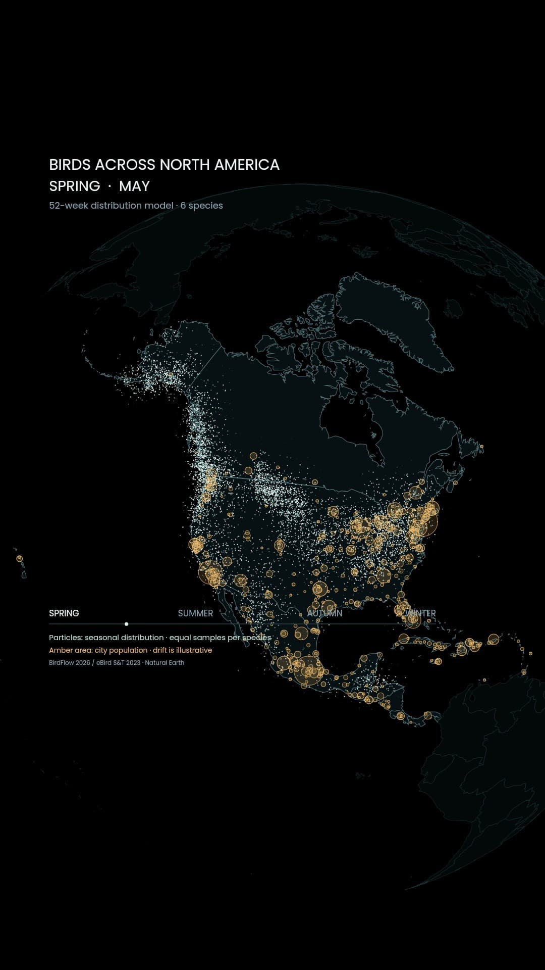 Birds across North America, a changing seasonal pattern.