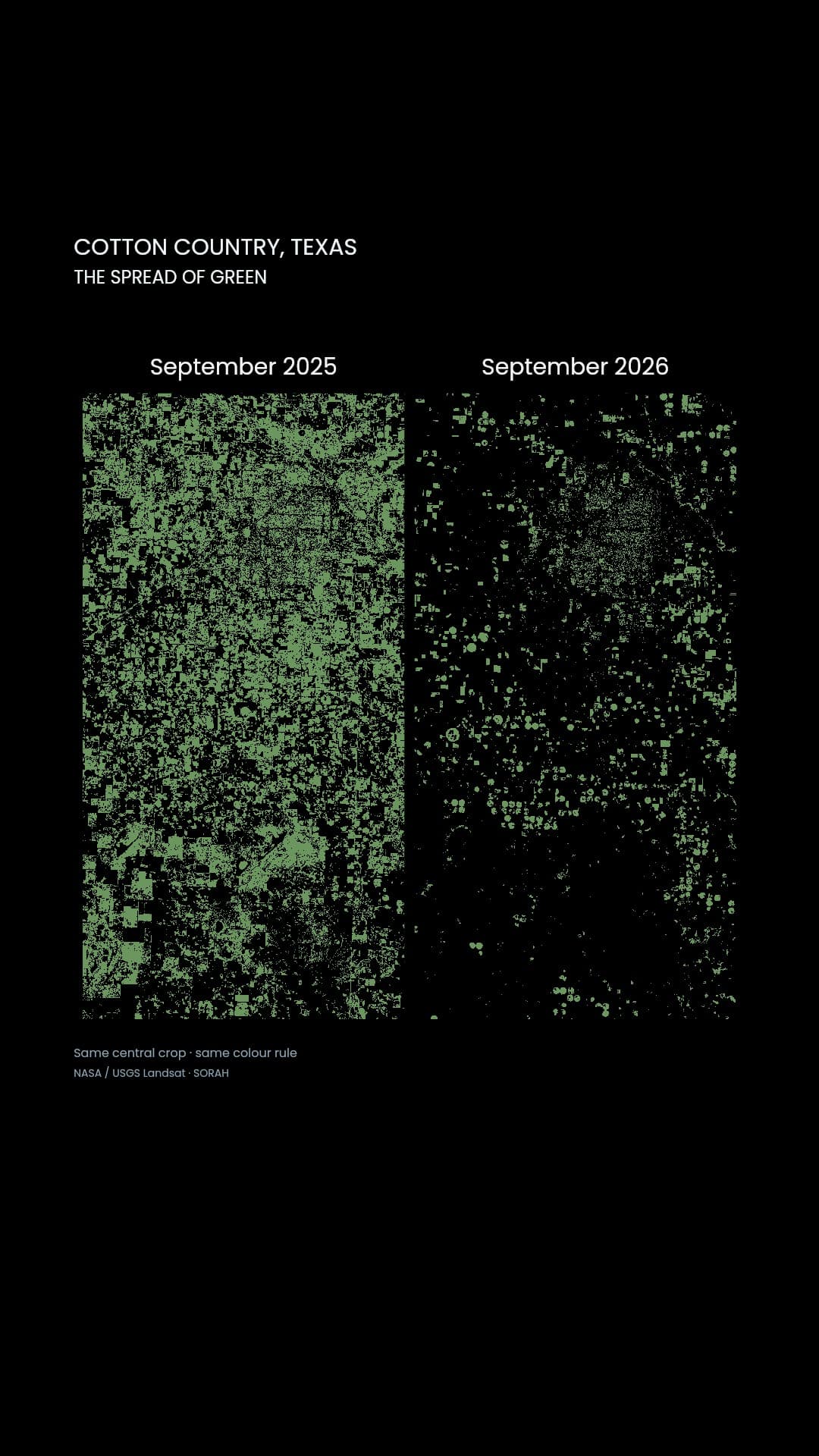 Cotton, groundwater and the circles of the Texas High Plains.
