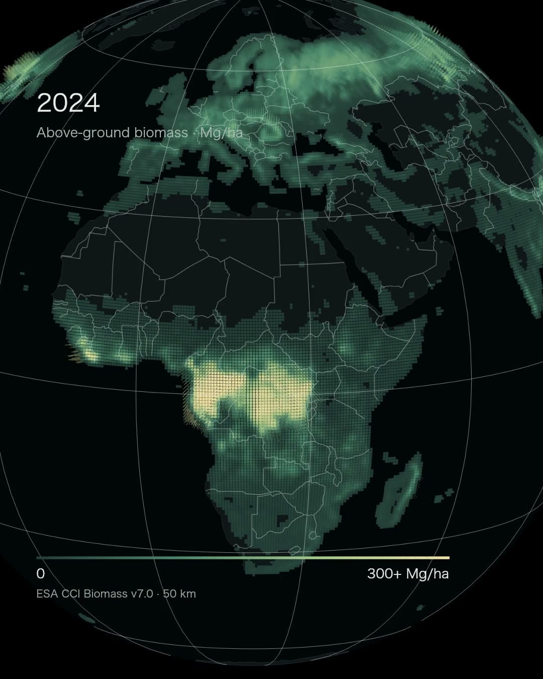Forest biomass: adding the weight of trunks and branches to a green map.