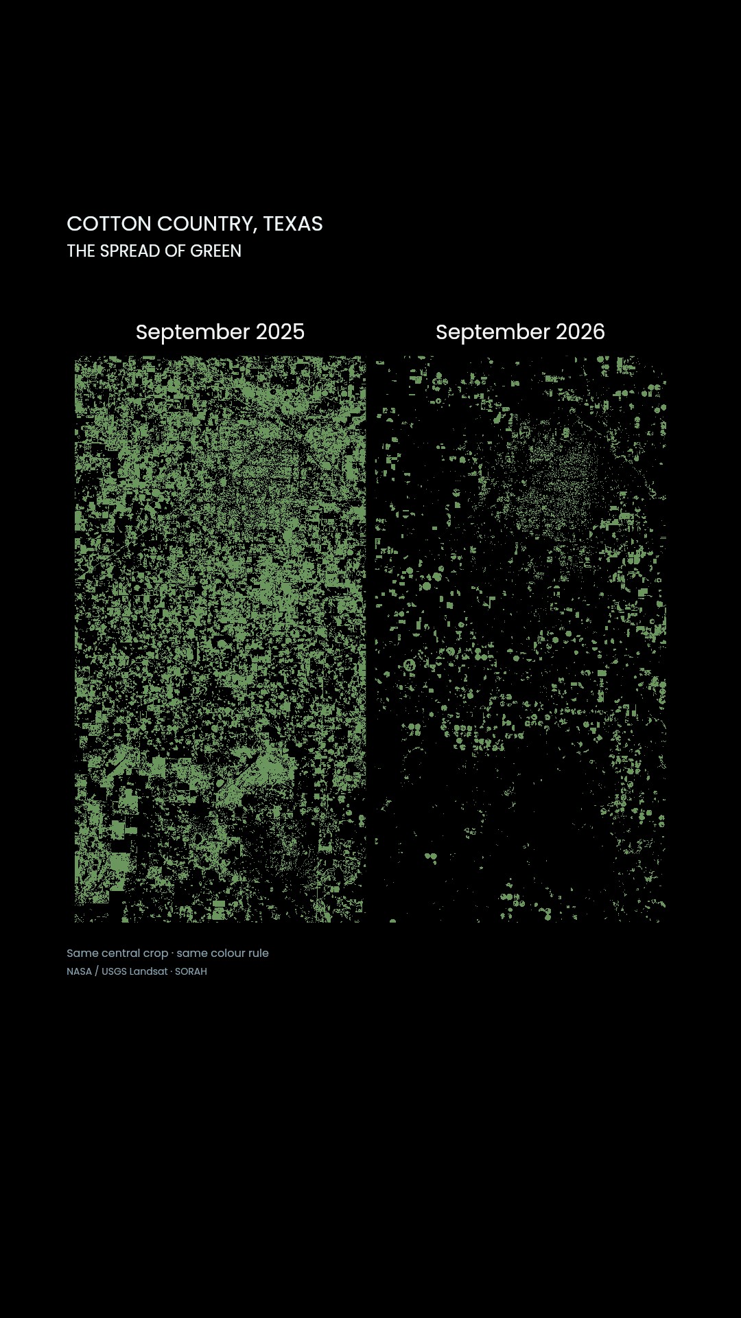 2025 on the left, 2026 on the right. Cumulative rain → green-toned pixels → colour classes → proportions of the displayed crop, with percentages placed directly on the final fields.