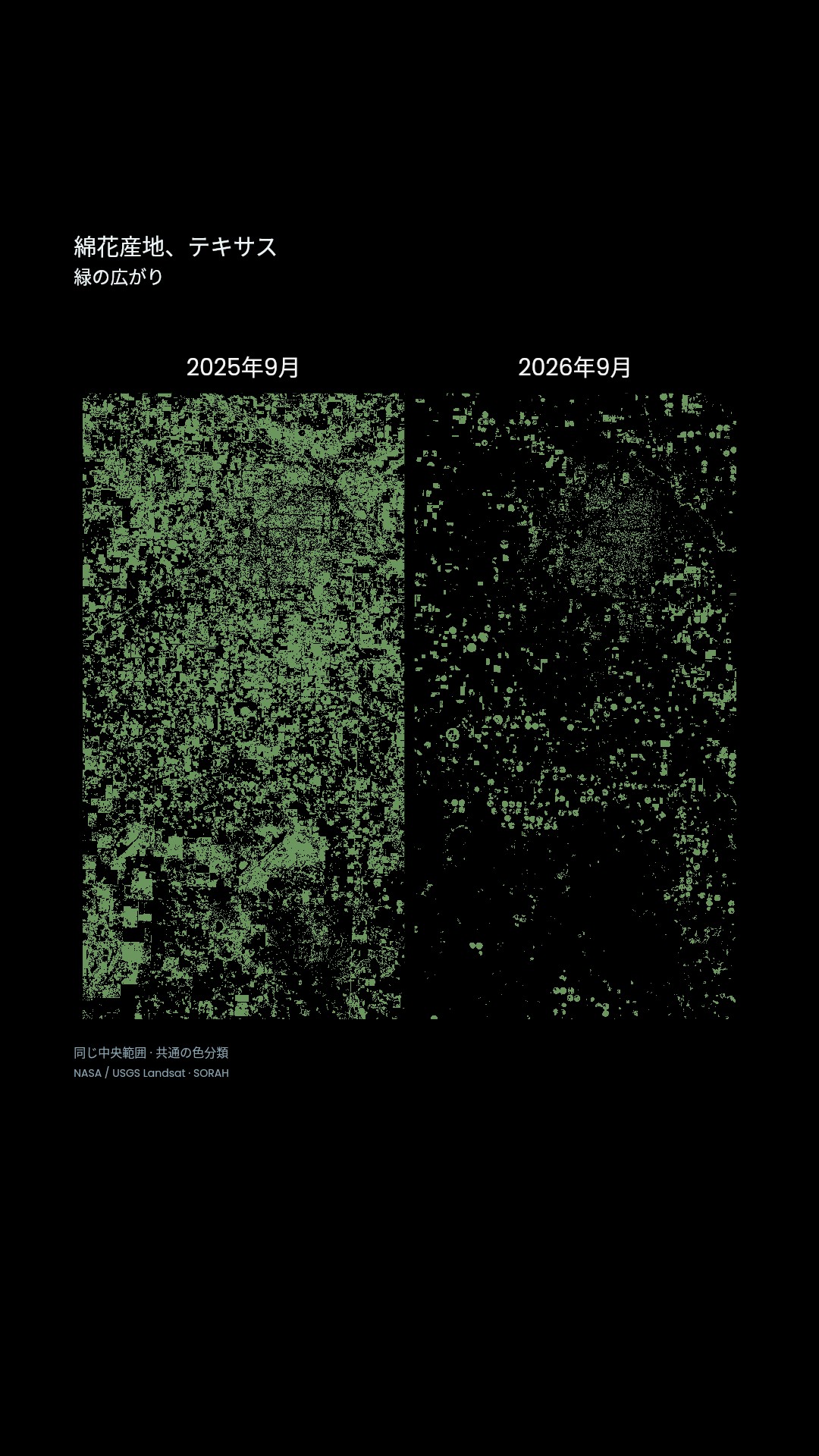 左が2025年、右が2026年。累積降水量 → 緑色域 → 色分類 → 画面内の色面積比へ。最後は%だけを直接表示します。