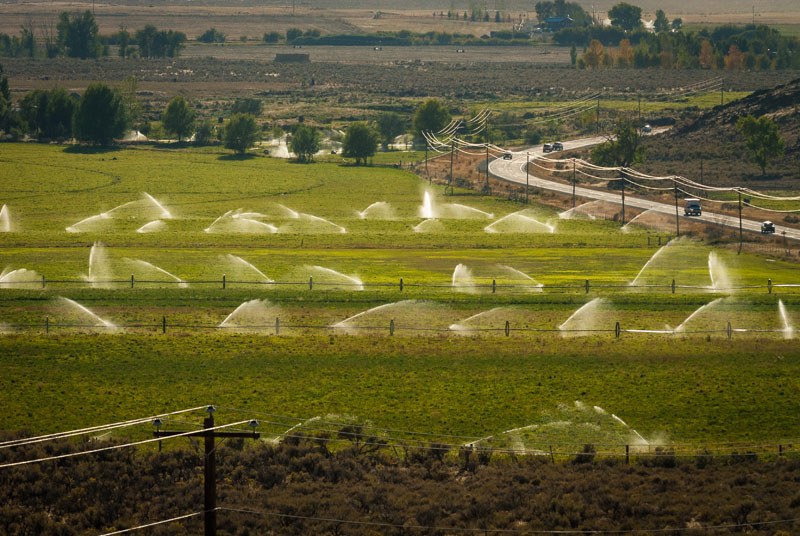 Multiple sprinklers watering green farmland in Utah.