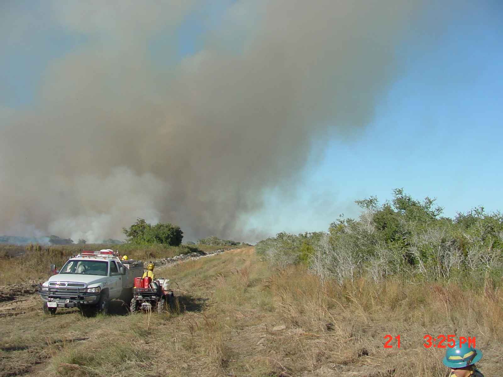 A prescribed burn in an oak savanna, USA. Date and exact location are not recorded by the source.