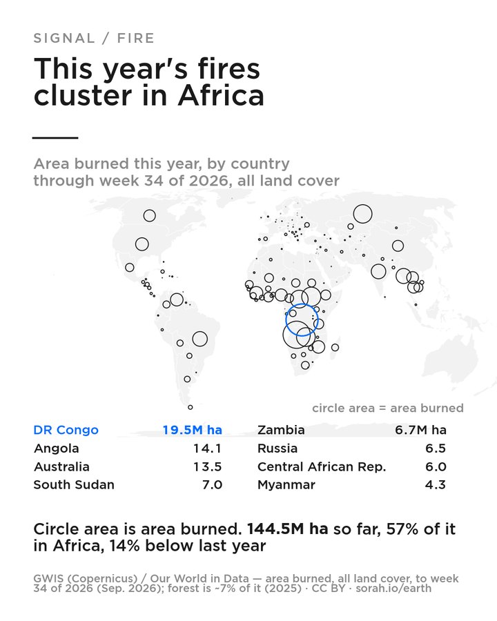Where the world burned this year — EN